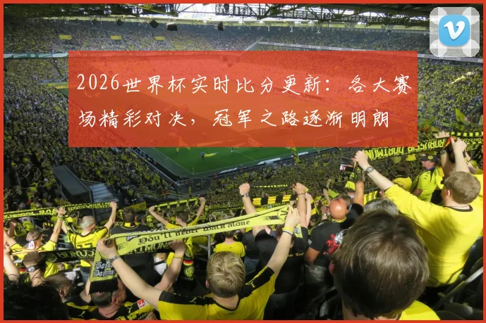 2026世界杯实时比分更新：各大赛场精彩对决，冠军之路逐渐明朗