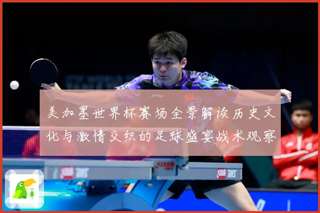 美加墨世界杯赛场全景解读历史文化与激情交织的足球盛宴战术观察